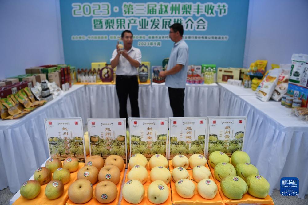 注册送钱的白菜网站